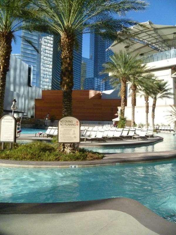 Pool at the Monte Carlo