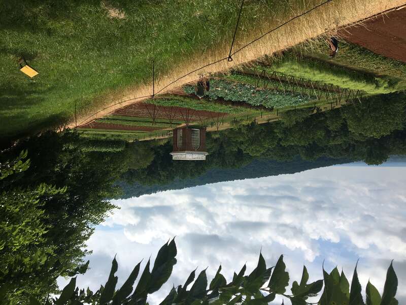 Monticello vegetable garden‎