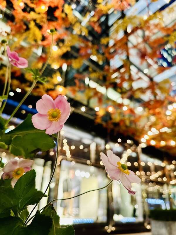 Palmer Alley is a two block alley in the CityCenterDC complex in Washington, D.C. It's situated between 9th, 11th, H and I Streets NW.