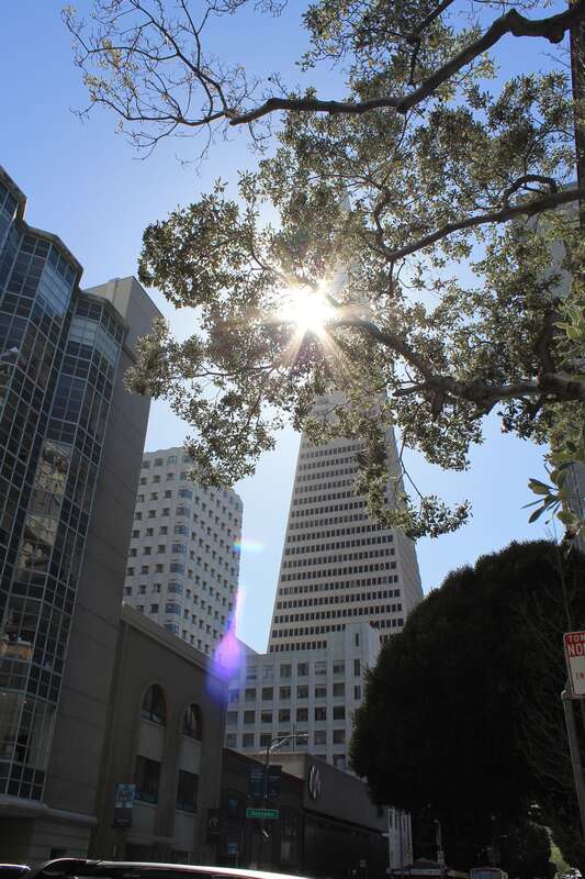 San Francisco/Union Square-Financial District