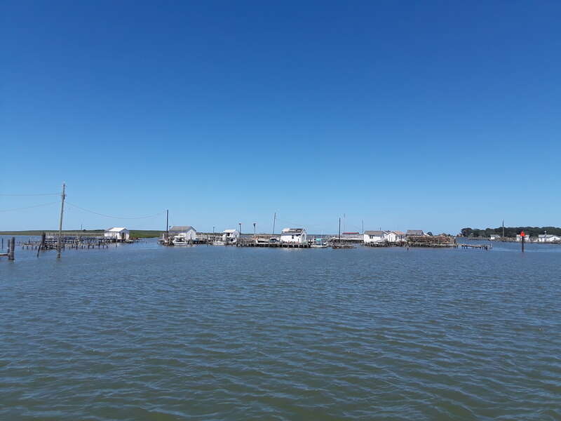 Taken on a visit to Tangier Island, July 2018