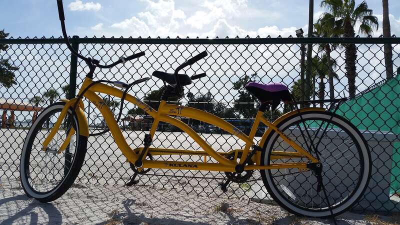 Gulfport Merchant's Association present the 14th Annual GeckoFest. 3129 Beach Blvd., Gulfport 33707 #GeckoFest