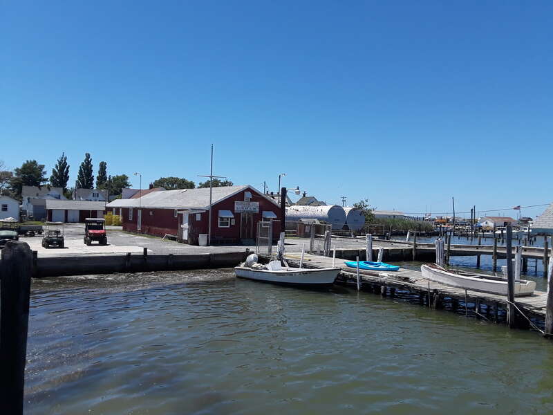 Taken on a visit to Tangier Island, July 2018