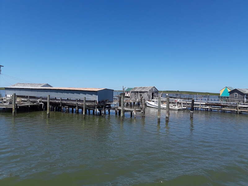 Taken on a visit to Tangier Island, July 2018