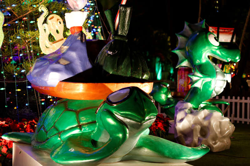 Turtle in front of Christmas Tree