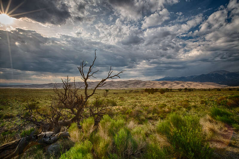 View of the Great Sand dunes