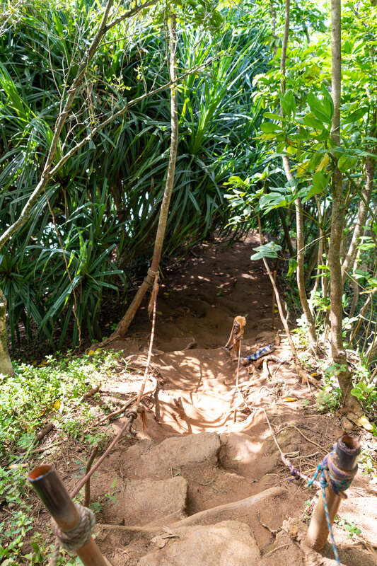 Weg zum Hideaways Beach Princeville Kauai Hawaii