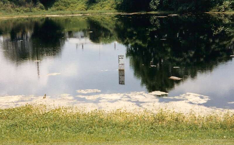 Winter Park Sinkhole