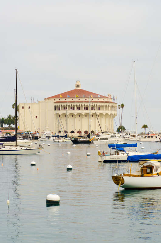 Catalina Island and Ensenada Cruise