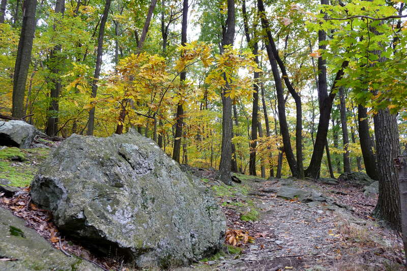 Boulders and trees grace the trail