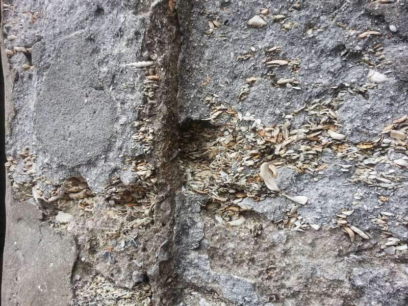 Close up of the Coquina wall at the Castillo de San Marcos fort in St Augustine FL.