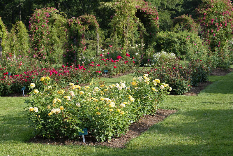 Elizabeth Park, Asylum Ave.