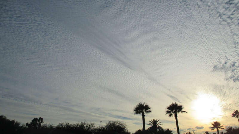 500px provided description: Why was the sky so strange over the Sonoran Desert on October 27, 2015? [#Trees ,#Sky ,#Clouds]