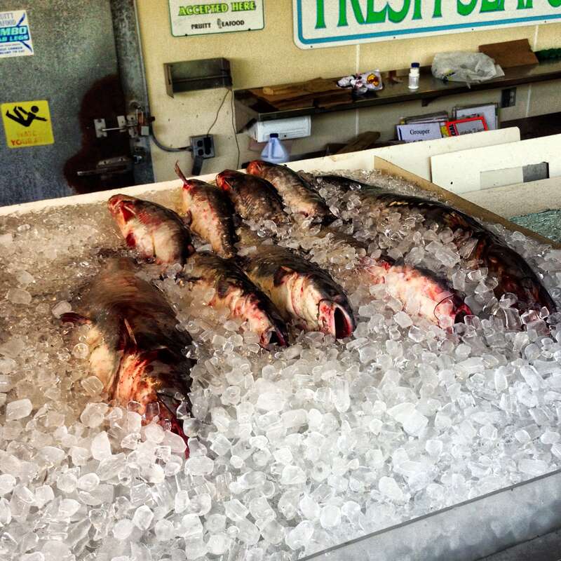 Fresh Fish at Maine Ave Fish Market