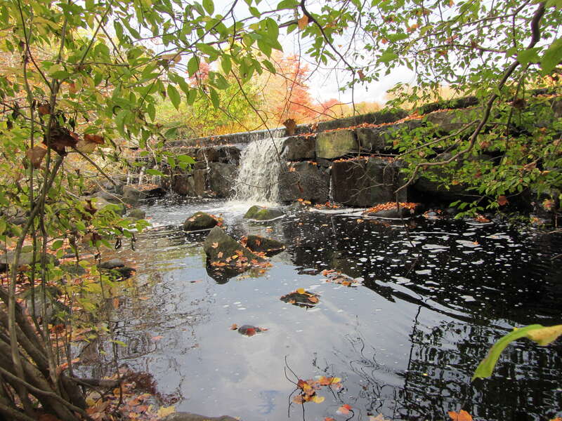The Hyde Pond Dam Removal project in Mystic, Conn. will remove the dam on Whitford Brook, a tributary of the Mystic River. It will restore fish passage to 4.1 stream miles and habitat for alewife, blueback herring and American eel, candidate species