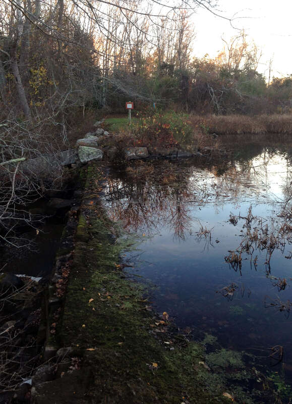 The Hyde Pond Dam Removal project  removed the dam on Whitford Brook, a tributary of the Mystic River. The effort is provide fish passage to 4.1 stream miles and habitat for alewife, blueback herring and American eel, candidate species under the
