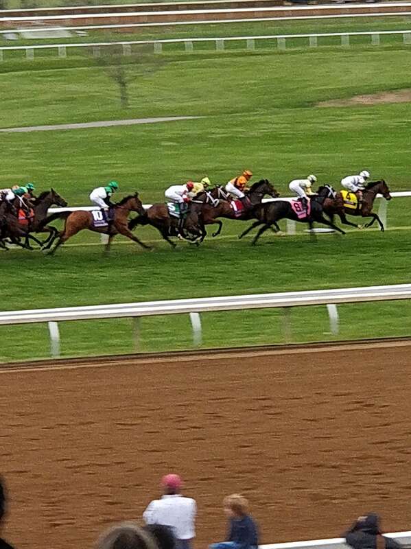 Lady Aurelia (#8) on the track before placing 2nd in the Giant's Causeway at Keeneland.

Feel free to use this photo however you like, just attribute &amp;lt;a href=&quot;https://atthepaddock.com&quot; rel=&quot;nofollow&quot;&amp;gt;atthepaddock.com&amp;lt;/a&amp;gt;. Thanks!