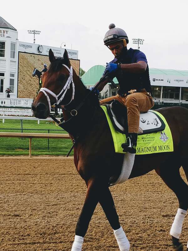Pre kentucky Derby Workout - Magnum Moon

Feel free to use this photo however you like, just attribute &amp;lt;a href=&quot;https://atthepaddock.com&quot; rel=&quot;nofollow&quot;&amp;gt;atthepaddock.com&amp;lt;/a&amp;gt;. Thanks!