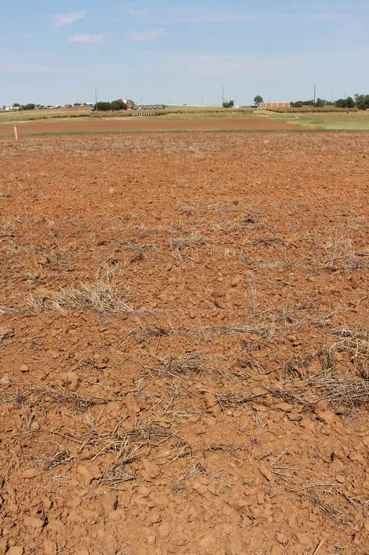 Magruder Plots, Oklahoma State University Stillwater. Magruder Plots, Oklahoma State University Stillwater.  Unfertilized &quot;check&quot; plot visible with less stubble in center of photo.