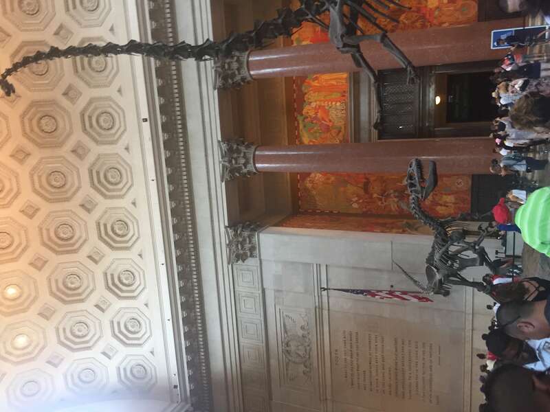 Museum of Natural History