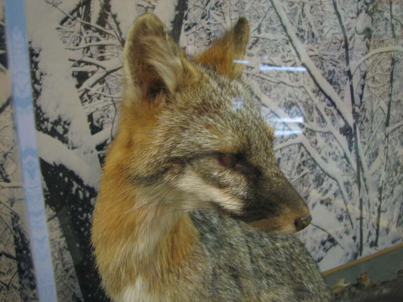 Nature Center and Planetarium in Rock Creek Park (5200 Glover Road Northwest, Washington, DC 20015)