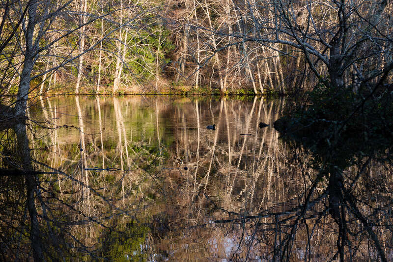 Bloedel Reserve, Bainbridge Island, Washington