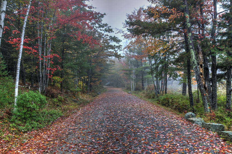 500px provided description: The Woods Are Lovely Dark And Deep [#landscapes ,#fall colors]
