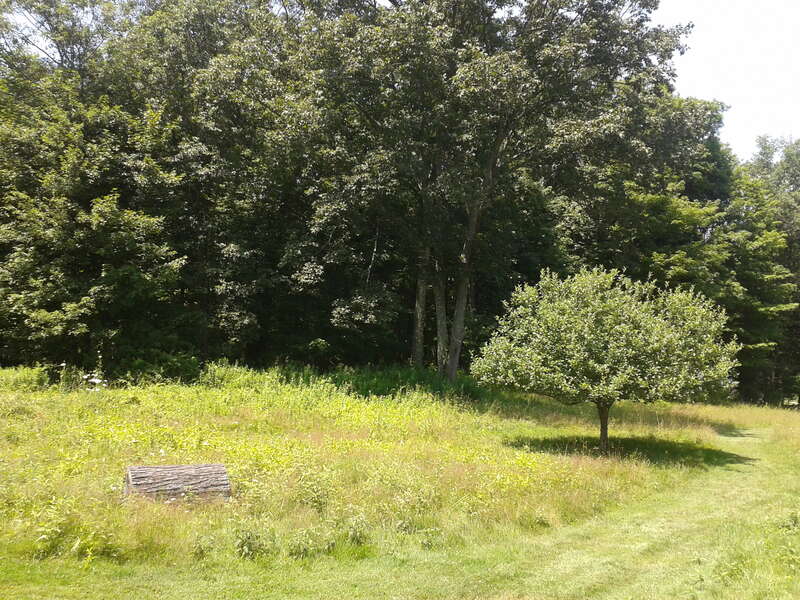 Weir Farm National Historic Site, 735 Nod Hill Road Wilton and Ridgefield