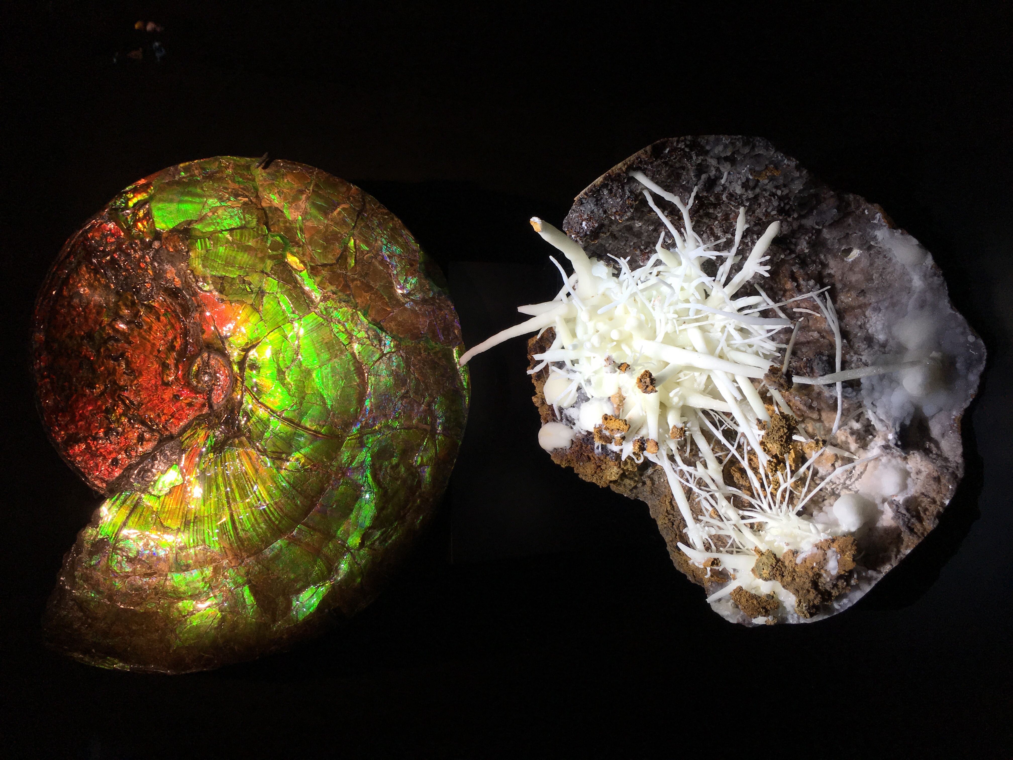 佩洛特自然科学博物館, 達拉斯, 德克薩斯州, 德州, 美國, 美利堅合眾國, Perot Museum of Nature and Science, Perot Museum, Dallas, Texas, Tejas, United States of America, United States, America, The States, USA, US