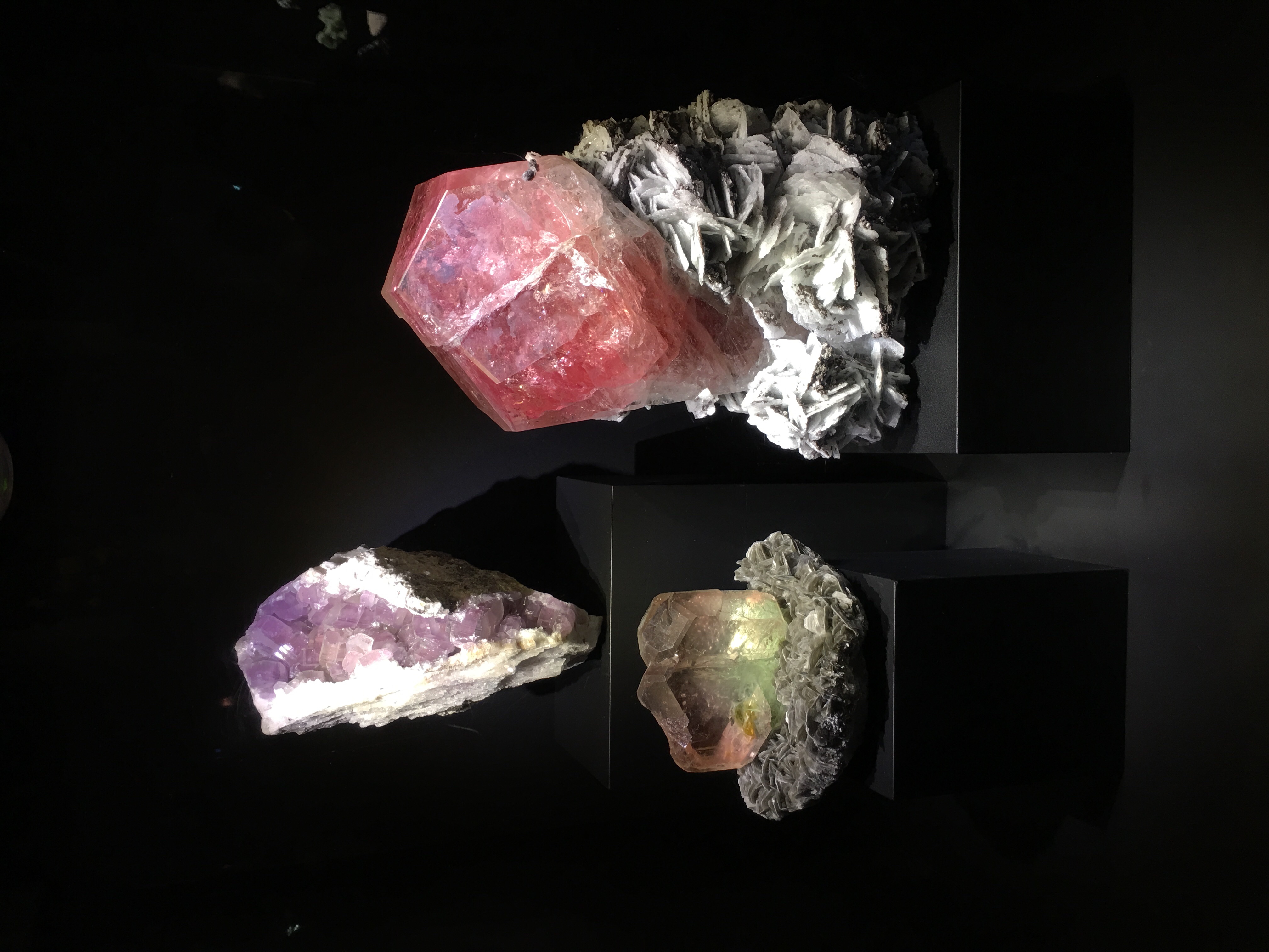 佩洛特自然科学博物館, 達拉斯, 德克薩斯州, 德州, 美國, 美利堅合眾國, Perot Museum of Nature and Science, Perot Museum, Dallas, Texas, Tejas, United States of America, United States, America, The States, USA, US