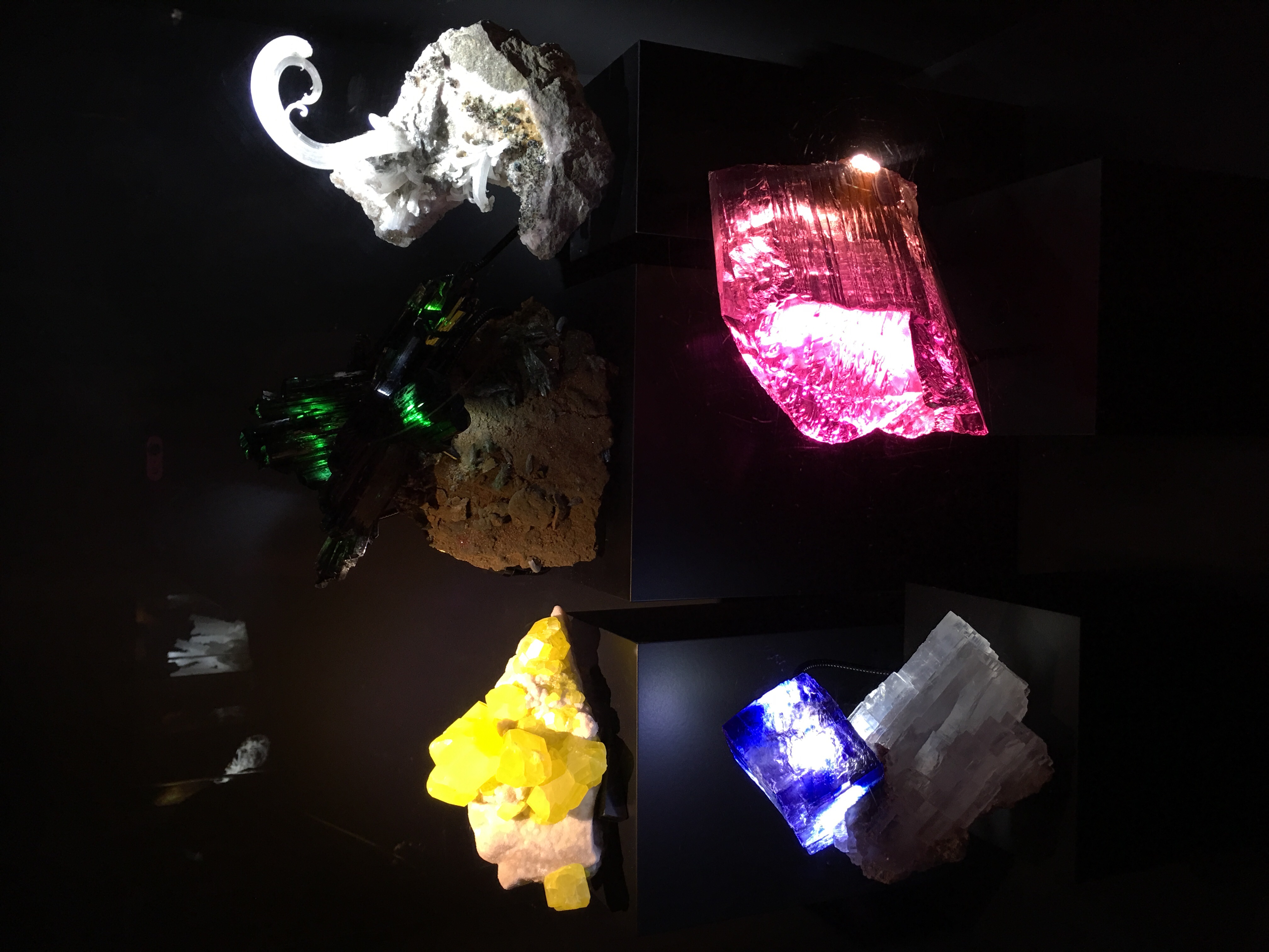 佩洛特自然科学博物館, 達拉斯, 德克薩斯州, 德州, 美國, 美利堅合眾國, Perot Museum of Nature and Science, Perot Museum, Dallas, Texas, Tejas, United States of America, United States, America, The States, USA, US