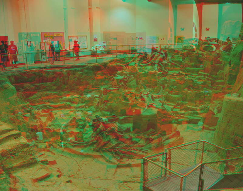 Mammoth museum in situ.

 Red/Cyan glasses needed to view in 3D.