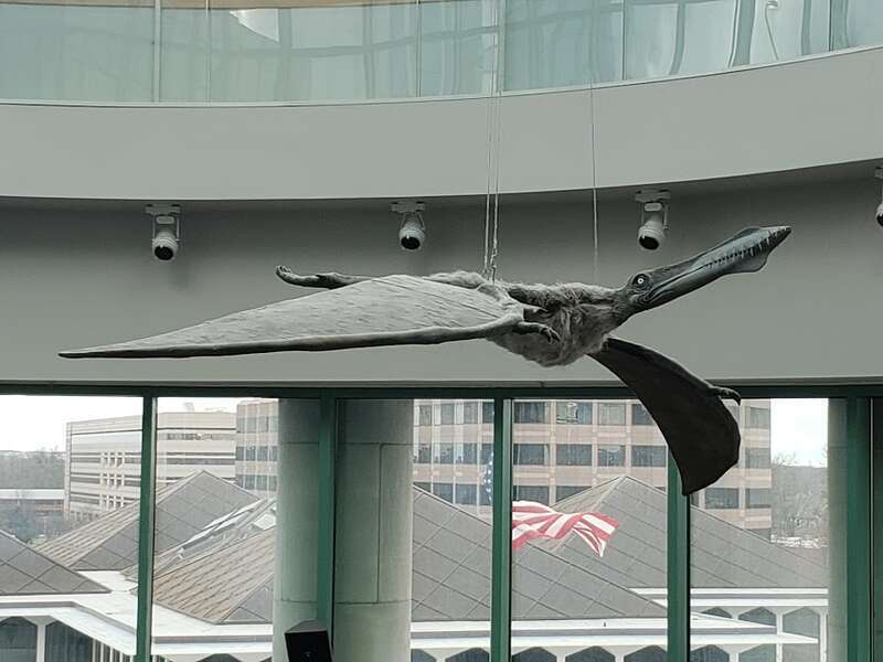 Model of an Anhanguera circling over the Acrocanthosaurus skeleton and its prey.