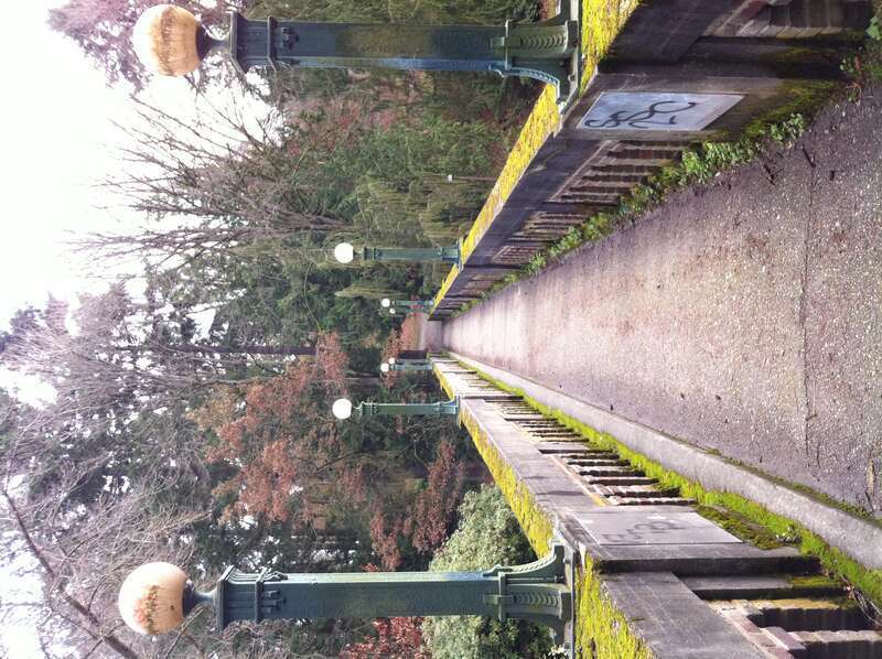 Arboretum Sewer Trestle