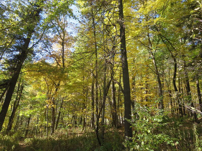 Autumn in Devil's Lake State Park
