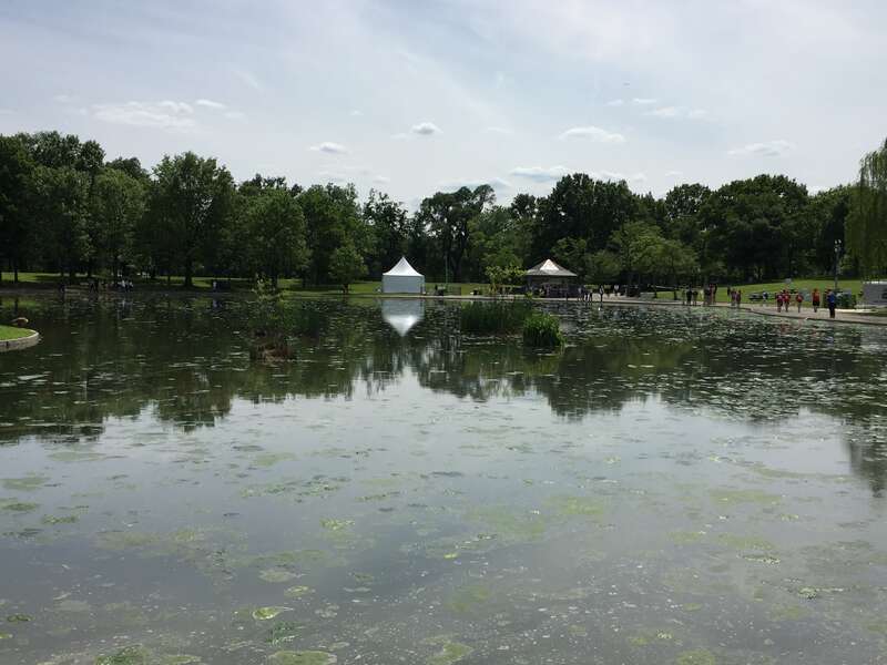 Bioblitz festival dc