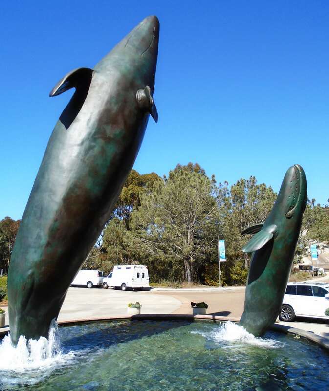 A fountain featuring two breaching whales in front of the Birch Aquarium at the Scripps Institute of Oceanography of the University of San Diego in La Jolla, California.