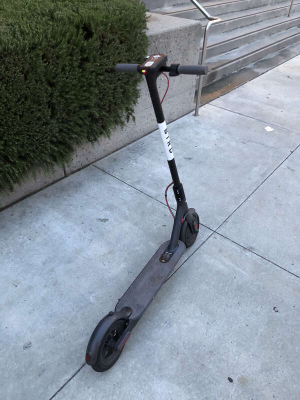 Bird Scooter in San Jose