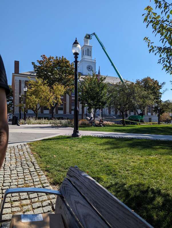 City Hall is being repainted to catch the suns rays ☀️