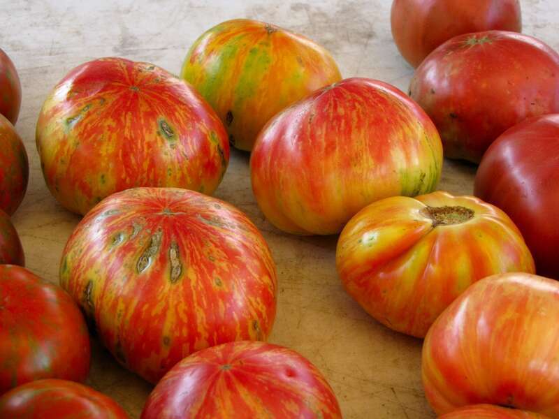 Fruits and vegetables for sale on August 5, 2012 at Eastern Market in Washington DC.
More at The Schumin Web:
&amp;lt;a href=&quot;https://www.schuminweb.com/photography/fruit-stands/&quot; rel=&quot;noreferrer