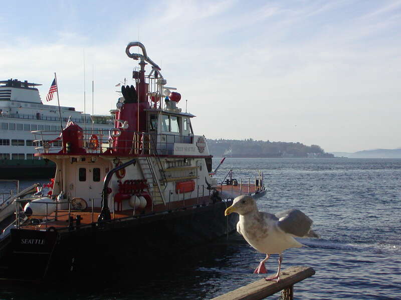Fireboat Chief Seattle and seagull on Seattle Central Waterfront. Washington State Ferry in middle ground. Looking across Elliott Bay to West Seattle in background.