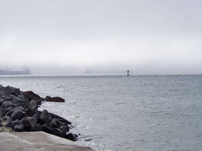 Fog over San Francisco Bay obscures the view of the Golden Gate Bridge. View is from San Francisco Bay Trail.