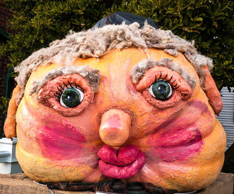 Another pumpkin that is in the 100s of pounds.  I am not sure what it is intended to be.