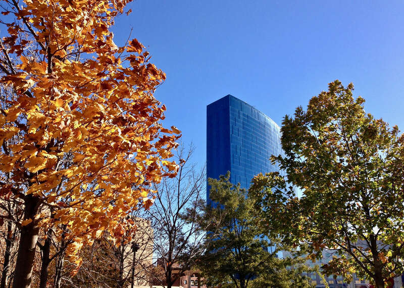 500px provided description: J W Marriott [#trees ,#leaves ,#tree ,#cityscape ,#skyscraper ,#hotel]