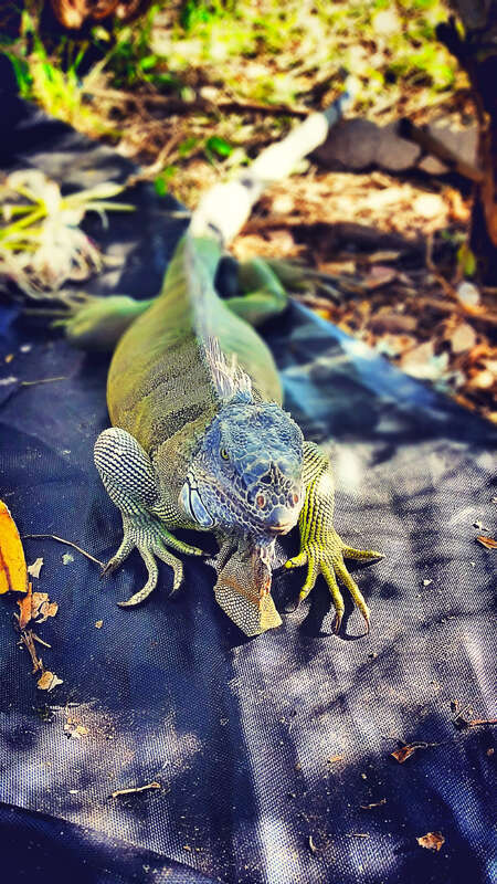 Key West, FL 33040, USA