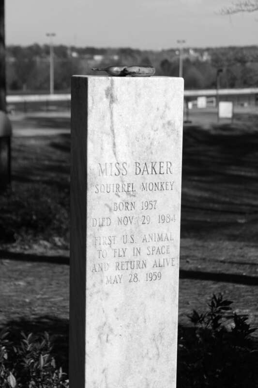 The gravestone of space pioneer Miss Baker is at the U.S. Space and Rocket Center in Huntsville, Alabama.  It frequently has a banana on top.