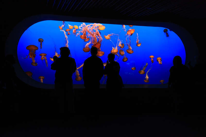 &amp;lt;a href=&quot;http://www.dahlstroms.com&quot; rel=&quot;nofollow&quot;&amp;gt;www.dahlstroms.com&amp;lt;/a&amp;gt;