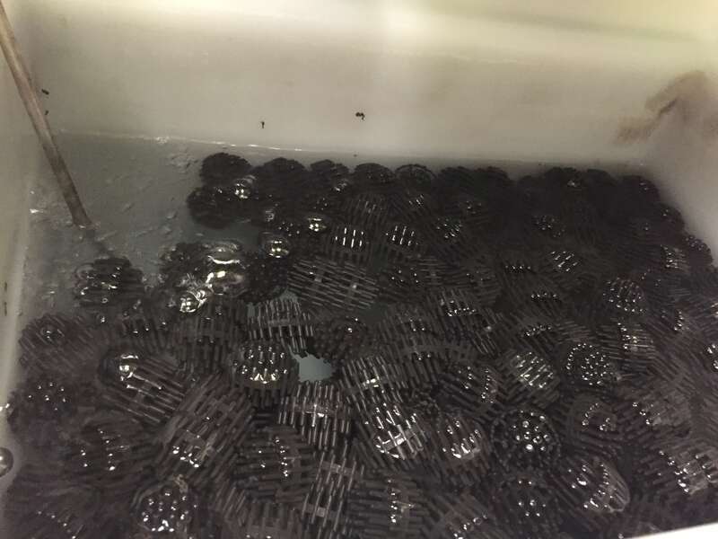 Nitrification media.