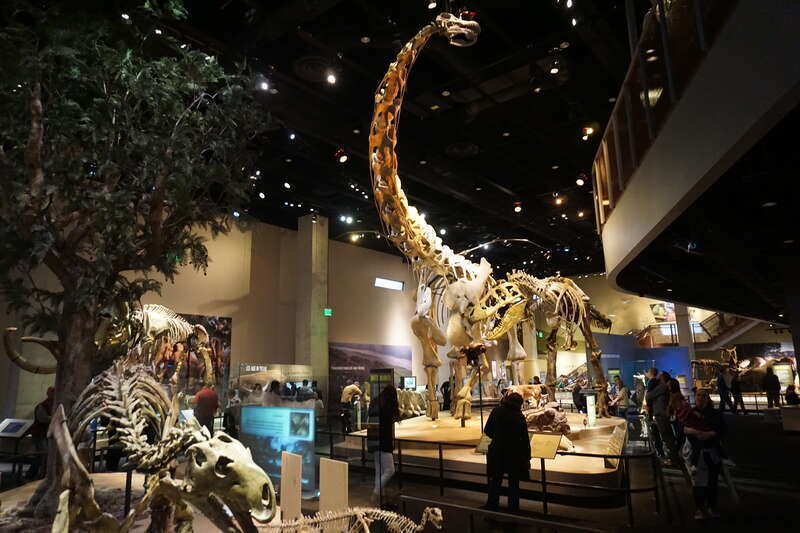 The Life Then and Now Hall inside the Perot Museum of Nature and Science in Dallas, Texas (United States).