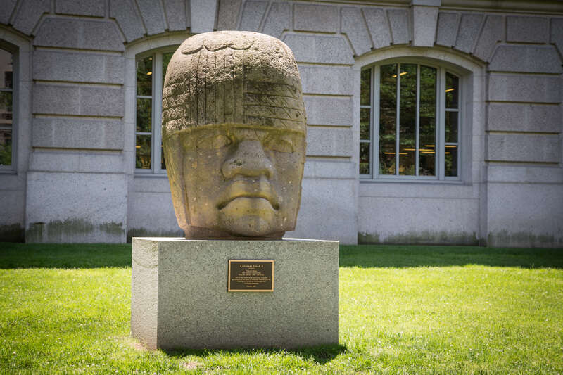 Smithsonian Colossal Head 4